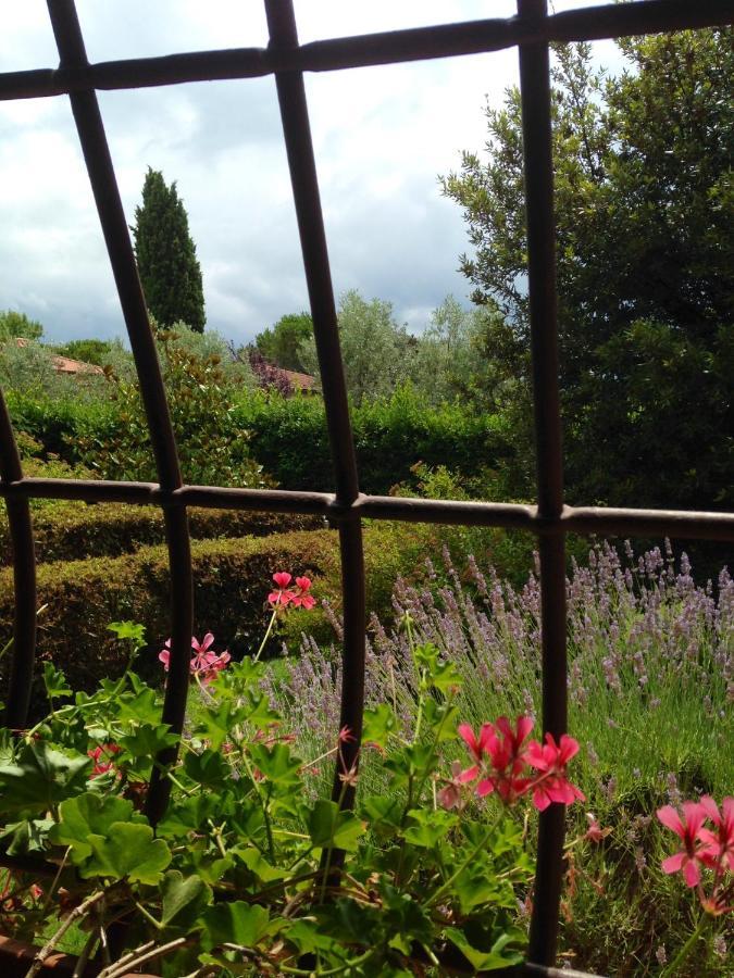 Rosso Del Chianti Bed and Breakfast Panzano in Chianti Exteriör bild